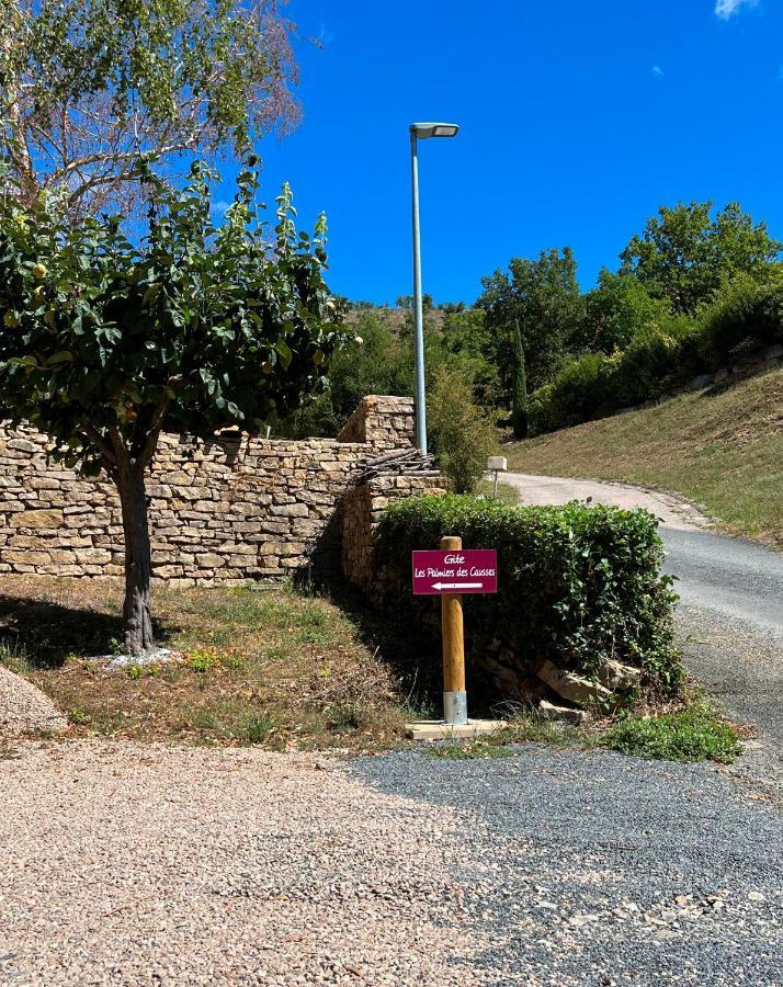 Chambre Au Calme Avec Spa Privatif Gratuit Sud Aveyron Les Palmiers Des Causses Saint-Rome-de-Tarn Ngoại thất bức ảnh